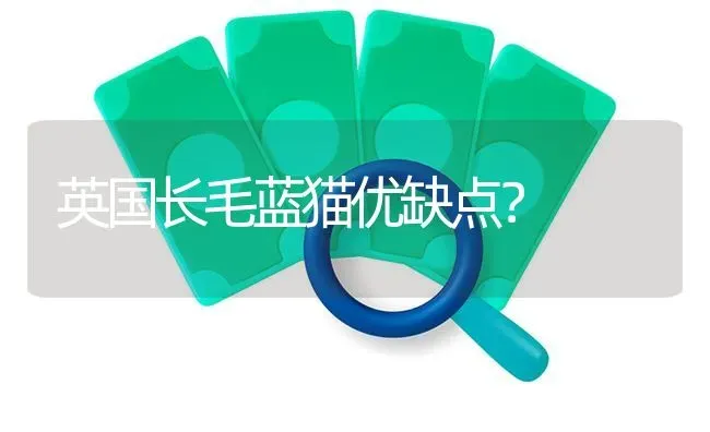 英国长毛蓝猫优缺点？ | 动物养殖问答