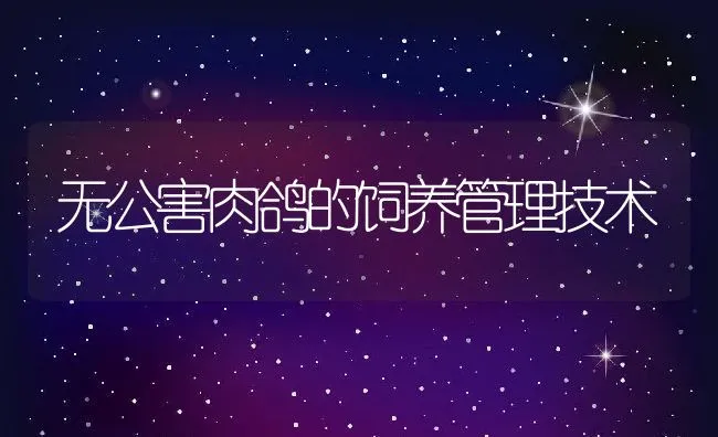 无公害肉鸽的饲养管理技术 | 动物养殖学堂