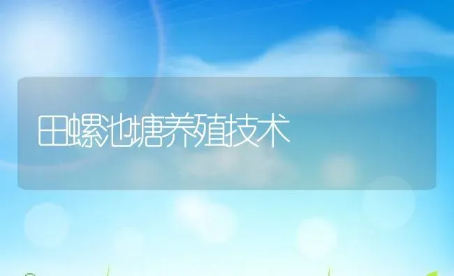 田螺池塘养殖技术 | 动物养殖教程