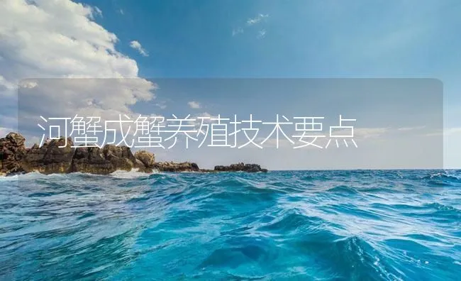 河蟹成蟹养殖技术要点 | 海水养殖技术