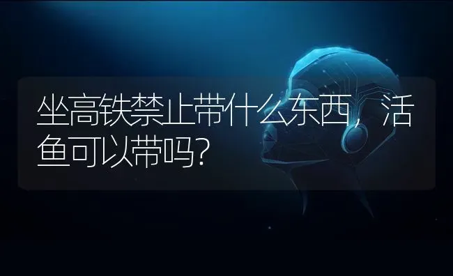 坐高铁禁止带什么东西，活鱼可以带吗？ | 动物养殖问答