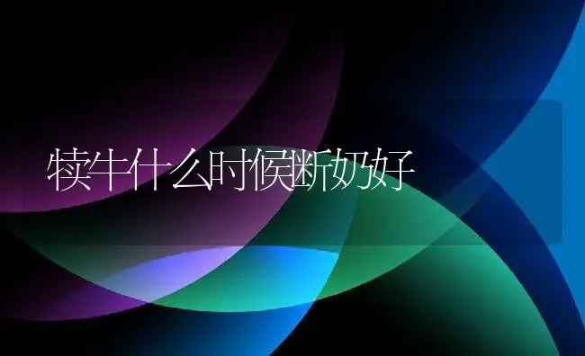 犊牛什么时候断奶好 | 动物养殖百科