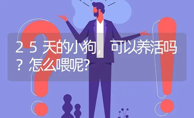 25天的小狗，可以养活吗？怎么喂呢？ | 动物养殖问答