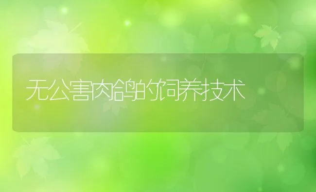 公猪无性欲、死精、无精预防措施 | 动物养殖学堂