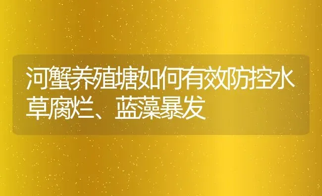 河蟹养殖塘如何有效防控水草腐烂、蓝藻暴发 | 淡水养殖技术