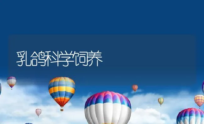 乳鸽科学饲养 | 水产养殖知识