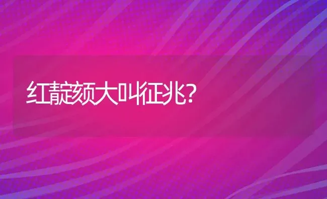 红靛颏大叫征兆？ | 动物养殖问答