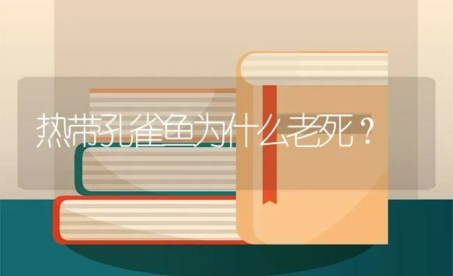 热带孔雀鱼为什么老死？ | 鱼类宠物饲养