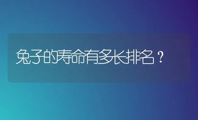 兔子的寿命有多长排名？ | 动物养殖问答