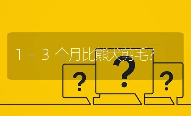 1-3个月比熊犬剪毛？ | 动物养殖问答