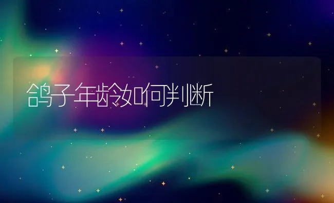 猪鬃的收集与加工 | 动物养殖学堂