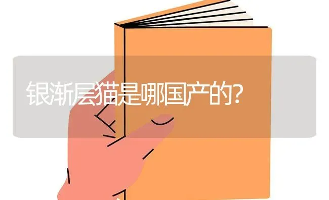 加勒比海盗里的监狱犬叫什么？ | 动物养殖问答