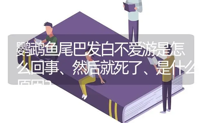 鹦鹉鱼尾巴发白不爱游是怎么回事、然后就死了、是什么原因？ | 鱼类宠物饲养