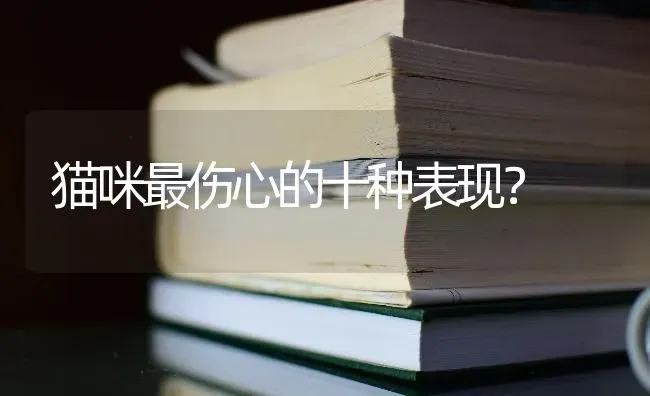 家里的小金毛七个月了，还是很调皮，什么时候才会比较乖呢？ | 动物养殖问答