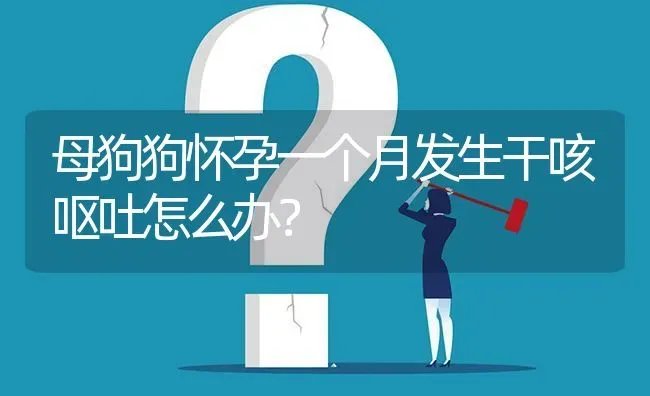 母狗狗怀孕一个月发生干咳呕吐怎么办？ | 动物养殖问答