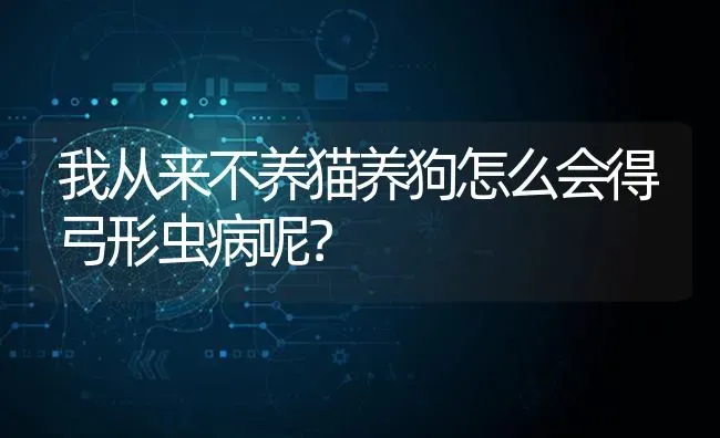 我从来不养猫养狗怎么会得弓形虫病呢？ | 动物养殖问答