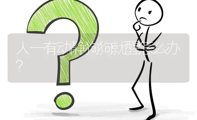 人一有动静狗狗就醒怎么办？ | 动物养殖问答