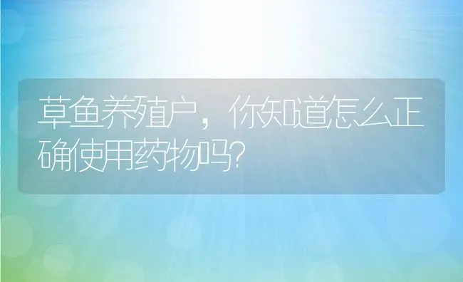 草鱼养殖户，你知道怎么正确使用药物吗？ | 动物养殖教程