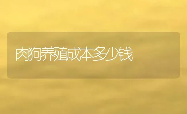 肉狗养殖成本多少钱 | 动物养殖百科