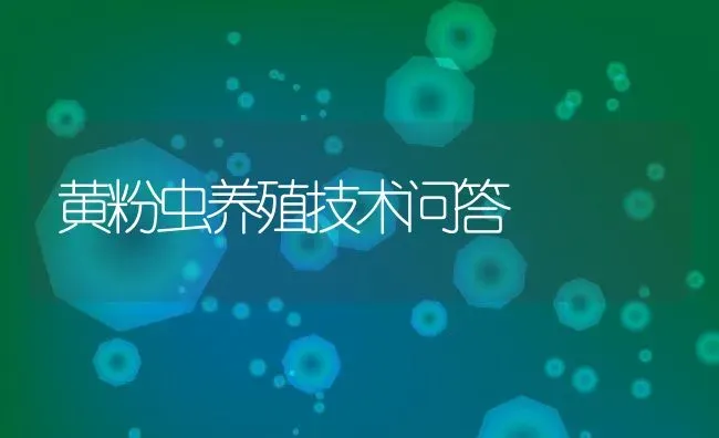 黄粉虫养殖技术问答 | 动物养殖教程