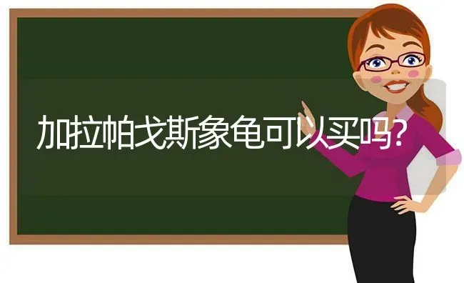 加拉帕戈斯象龟可以买吗？ | 动物养殖问答