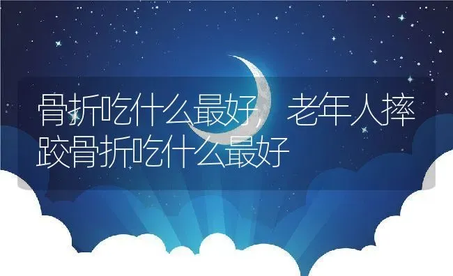 骨折吃什么最好,老年人摔跤骨折吃什么最好 | 宠物百科知识