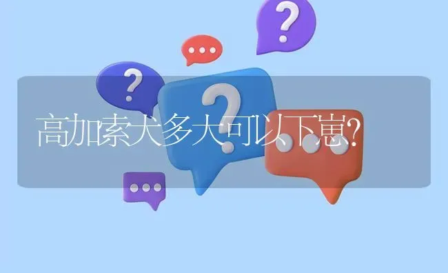 高加索犬多大可以下崽？ | 动物养殖问答