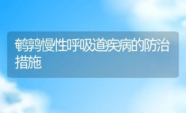 鹌鹑慢性呼吸道疾病的防治措施 | 动物养殖教程