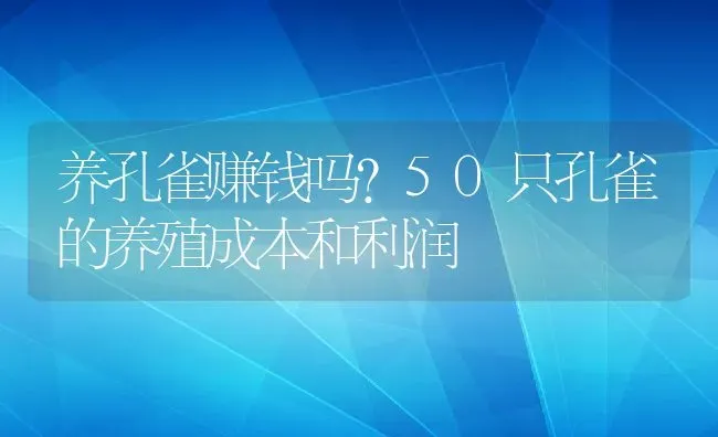 养孔雀赚钱吗？50只孔雀的养殖成本和利润 | 动物养殖百科