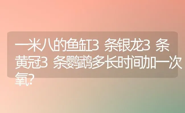 一米八的鱼缸3条银龙3条黄冠3条鹦鹉多长时间加一次氧？ | 动物养殖问答