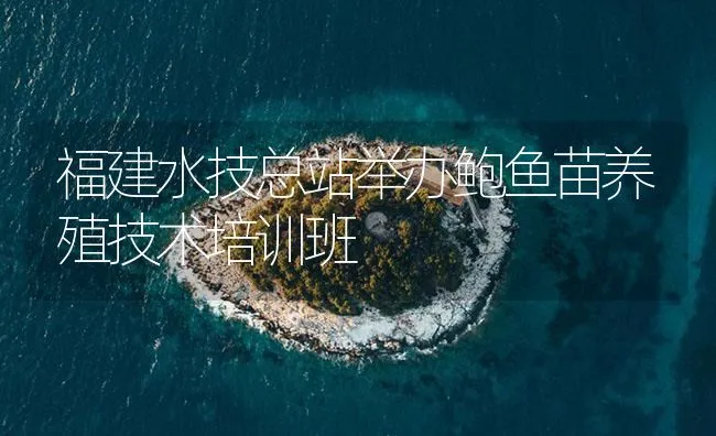 福建水技总站举办鲍鱼苗养殖技术培训班 | 海水养殖技术