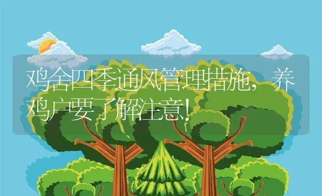 鸡舍四季通风管理措施，养鸡户要了解注意！ | 动物养殖百科