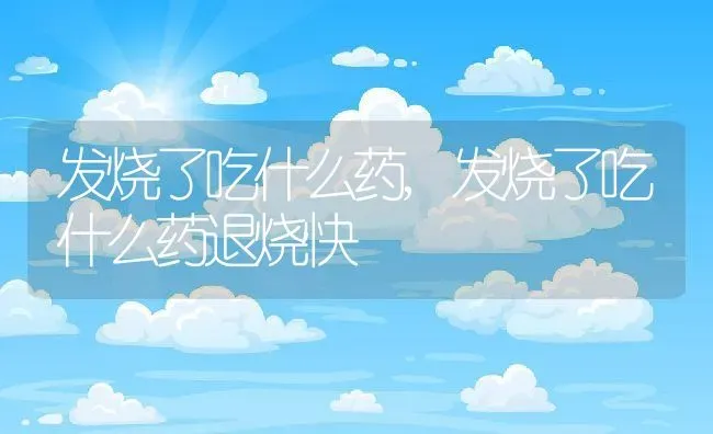 发烧了吃什么药,发烧了吃什么药退烧快 | 宠物百科知识