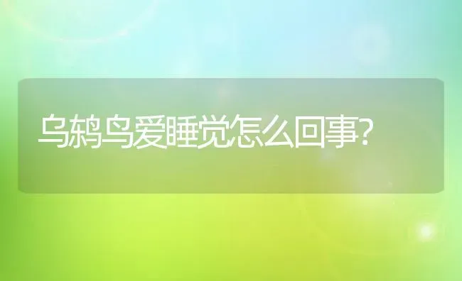 乌鸫鸟爱睡觉怎么回事？ | 动物养殖问答