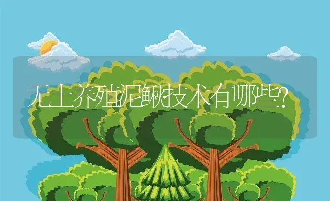 无土养殖泥鳅技术有哪些？ | 动物养殖百科