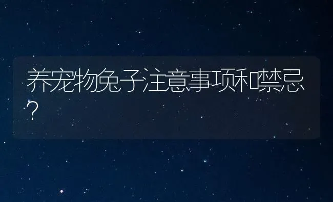 养宠物兔子注意事项和禁忌？ | 动物养殖问答