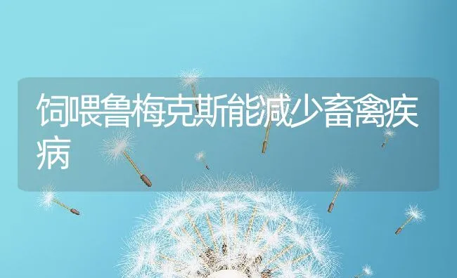 抗应激添加剂在畜禽生产上的应用 | 动物养殖学堂