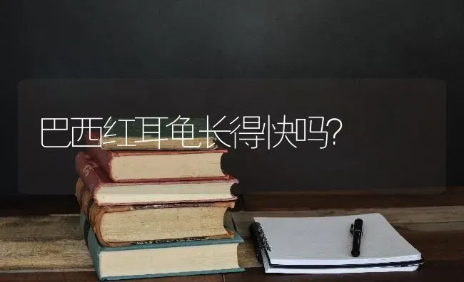 巴西红耳龟长得快吗？ | 动物养殖问答