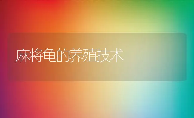 导致鸡饲料中维生素缺乏的原因 | 动物养殖学堂