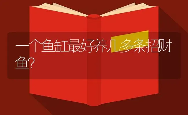 一个鱼缸最好养几多条招财鱼？ | 鱼类宠物饲养