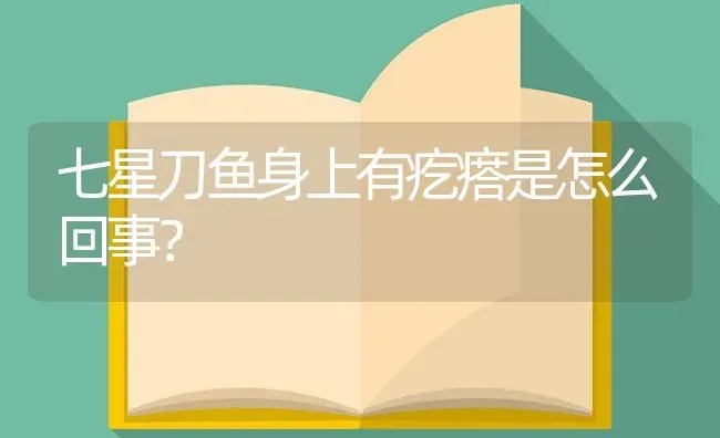 七星刀鱼身上有疙瘩是怎么回事？ | 鱼类宠物饲养