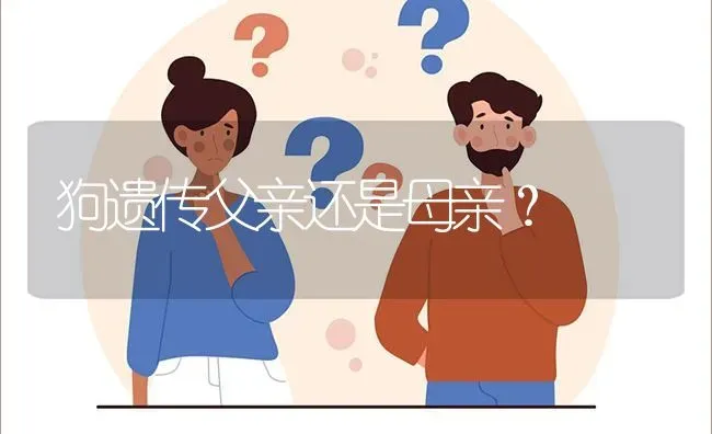 狗遗传父亲还是母亲？ | 动物养殖问答