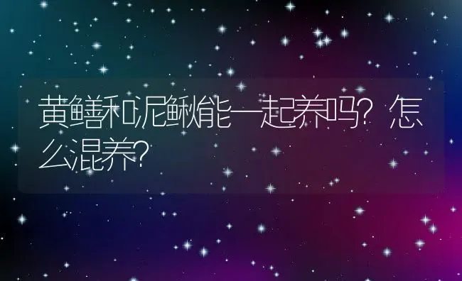 黄鳝和泥鳅能一起养吗？怎么混养？ | 动物养殖百科