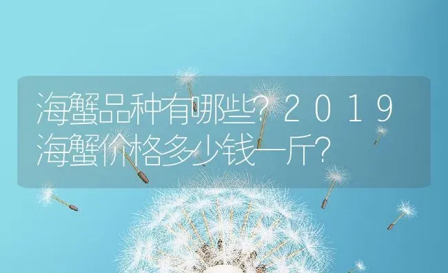 海蟹品种有哪些？2019海蟹价格多少钱一斤？ | 动物养殖百科