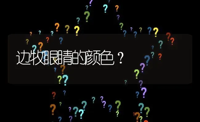 边牧眼睛的颜色？ | 动物养殖问答