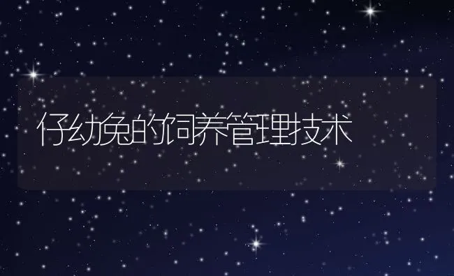 华中农大学生向水产养殖户学习龟鳖黄鳝养殖技术 | 水产养殖知识