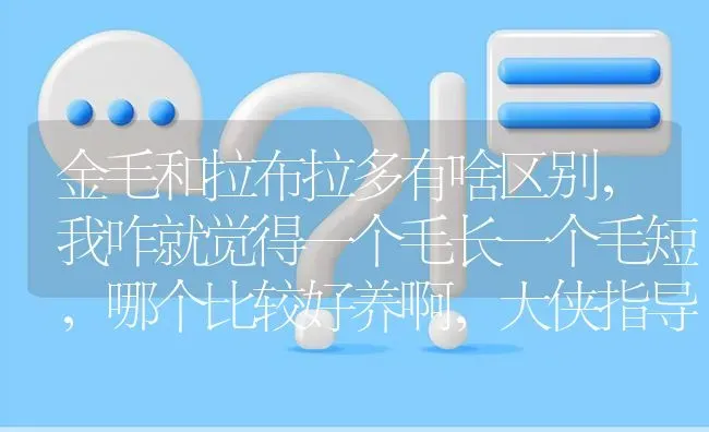 金毛和拉布拉多有啥区别，我咋就觉得一个毛长一个毛短，哪个比较好养啊，大侠指导下？ | 动物养殖问答