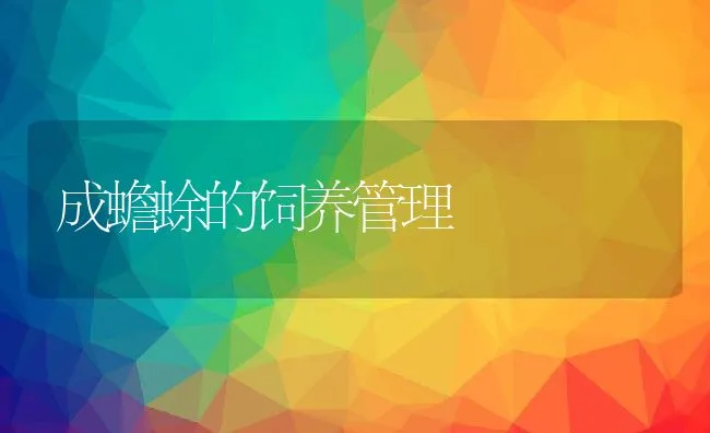 猪分娩床的类型、材料、结构形式的介绍 | 动物养殖学堂