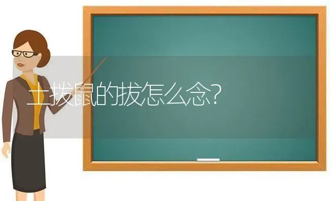 土拨鼠的拔怎么念？ | 动物养殖问答