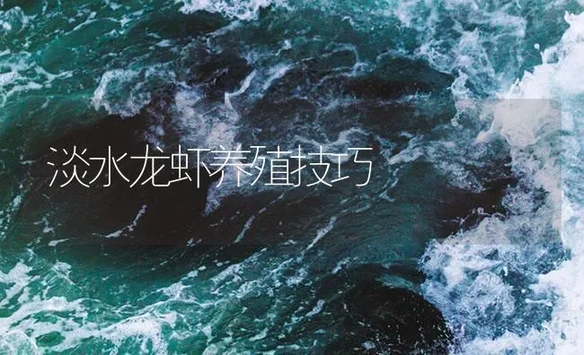 淡水龙虾养殖技巧 | 海水养殖技术